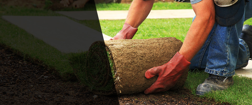 York Landscapers